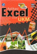 Aplikasi Excel Untuk UKM